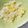 YU-ZEN's cooksnap of when they made レンジのみ‼癖になる鰹節の白菜サラダ♪.