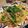 pyon's cooksnap of when they made 小松菜の和風パスタ.