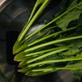 チェックのミニくま's cooksnap of when they made 水菜の洗い方♡(❊´︶`❊)｡۞·:.