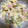 リトル猫☆'s cooksnap of when they made きのう何食べた？ シロさんの時短ポテサラ.
