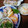 よちりん's cooksnap of when they made 味付けはマヨネーズだけ！柿と大根のサラダ.
