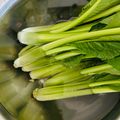 チェックのミニくま's cooksnap of when they made 水菜の洗い方♡(❊´︶`❊)｡۞·:.