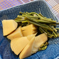 beanssmile's cooksnap of when they made 今が旬♪たけのことわらびの煮物.