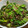 kawaramono's cooksnap of when they made 大皿で❢ ひき肉とキャベツの甘味噌炒め.