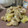 たんこたんきち's cooksnap of when they made 鶏とさつまいものバター醤油炒め.