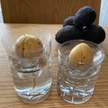 ビートルズ食堂's cooksnap of when they made 使った大根は育てましょう♪.