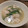 ぞぞぱぱ's cooksnap of when they made たらの白子（たち）のお味噌汁～下処理方法.