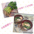 みかかめ's cooksnap of when they made 節約レシピ✴ 簡単！！ 小松菜のお吸い物.