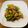 shogopapa's cooksnap of when they made 豚肉とニンニクの芽の炒め物.