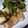 じゅんともた's cooksnap of when they made ほうれん草と厚揚ケチャップ炒めカレー風味.