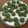 Yokchina's cooksnap of when they made 翌日も柔らか！米粉でよもぎ餅.