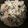 ♡mio1216♡'s cooksnap of when they made わかめご飯♪給食より自信あり^^;.