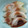 クックU3TTKA☆'s cooksnap of when they made 簡単すぎ！玉ねぎで一品！一人暮らしに！.