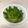 ☆やまや☆'s cooksnap of when they made 旬の味わい☆絹さやのごま和え.