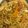 パッシーユ's cooksnap of when they made スパイシー！シンガポール風カレー焼きそば.