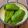 あーこ姐's cooksnap of when they made 苦くない冷やしピーマン白だしシャキシャキ.
