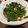 クックXZON9Y☆'s cooksnap of when they made 絶品☆空芯菜炒め.