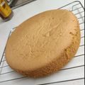 Ooたぬこ's cooksnap of when they made しっとりふわふわ簡単スポンジケーキ.