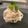 かのえ☆'s cooksnap of when they made 居酒屋風 大根サラダ.