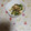 くネコまろす's cooksnap of when they made きゅうりと蒸し鶏の海苔わさび和え.