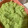 ふぁんころ's cooksnap of when they made 冷凍枝豆で簡単ずんだあん.
