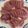 Moggieneko's cooksnap of when they made カツオの刺身.