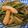 鹿部さっちゃんクック's cooksnap of when they made おばあちゃんの味・ささげの煮物.