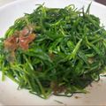 emifumi's cooksnap of when they made めんつゆで簡単♥おかひじきのおひたし.