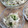 ささささ＆＊'s cooksnap of when they made ツナとだいこんのマヨぽんサラダ♪.