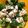 upside2525's cooksnap of when they made ブロッコリーと豆腐の塩昆布サラダ.
