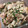 マトリョーシカ1号's cooksnap of when they made 鶏ももとキノコのオイスター炒め.