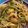 Moggieneko's cooksnap of when they made 奥さんに喜ばれるカサゴのパスタ.