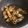 犬飼ってる's cooksnap of when they made お弁当に☺ちくわの照り照り胡麻炒め.