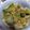 ☆★ケイト★☆'s cooksnap of when they made 八宝菜風♪♪あんかけ野菜炒め.