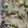クックQXCOV0☆'s cooksnap of when they made 簡単おつまみ*ツナとアボカドのディップ*.