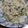 ゆりのもり's cooksnap of when they made 蟹缶のポテトサラダ.
