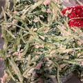 つんたゃん's cooksnap of when they made 5分あれば出来る！！水菜とツナのマヨ和え.