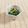 SP♪'s cooksnap of when they made 春菊の胡麻味噌くるみ和え.