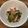 shogopapa's cooksnap of when they made ケールのにんにくベーコン炒め.