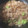クックEGIVJ7☆'s cooksnap of when they made 蓮根、里芋　秋の炊き込みご飯.