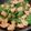 コアラのジャックス's cooksnap of when they made 柔らか！鶏胸肉とピーマンの簡単！中華炒め.