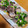 クックY08S17☆'s cooksnap of when they made カツオのたたきを角煮にリメイク♪.