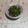 くネコまろす's cooksnap of when they made 青じそ風味、ピーマンの常備菜。.