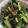 クックE662AA☆'s cooksnap of when they made きゅうりと茎みょうがのさっぱり大葉和え.
