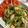 ｂｅｒｒｙ＋'s cooksnap of when they made やみつき！きゅうりとササミ肉の中華サラダ.