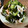 ♡ゆずぽんず♡'s cooksnap of when they made 白だしで！きゅうりとワカメの定番酢の物.