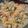 クックCAW66D☆'s cooksnap of when they made 鯨ベーコンでチャーハン.