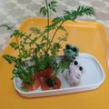 クックI7I5L1☆'s cooksnap of when they made キッチン菜園のつもり？.