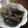 かわゆう1211's cooksnap of when they made レンジで簡単６分！基本のナスの煮浸し.