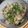 じいじい毎日挑戦's cooksnap of when they made 大葉たっぷり♪豚の塩生姜焼き.